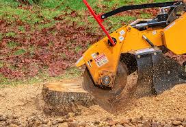 Best Commercial Tree Services  in Del Rio, CA