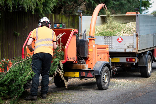 Best Aeration Services  in Del Rio, CA
