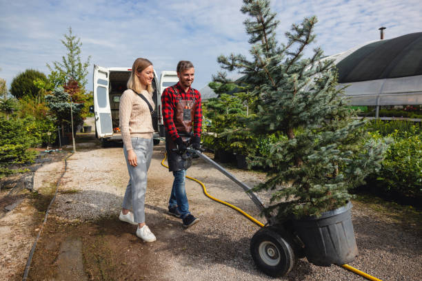 Best Lawn Grading and Leveling  in Del Rio, CA